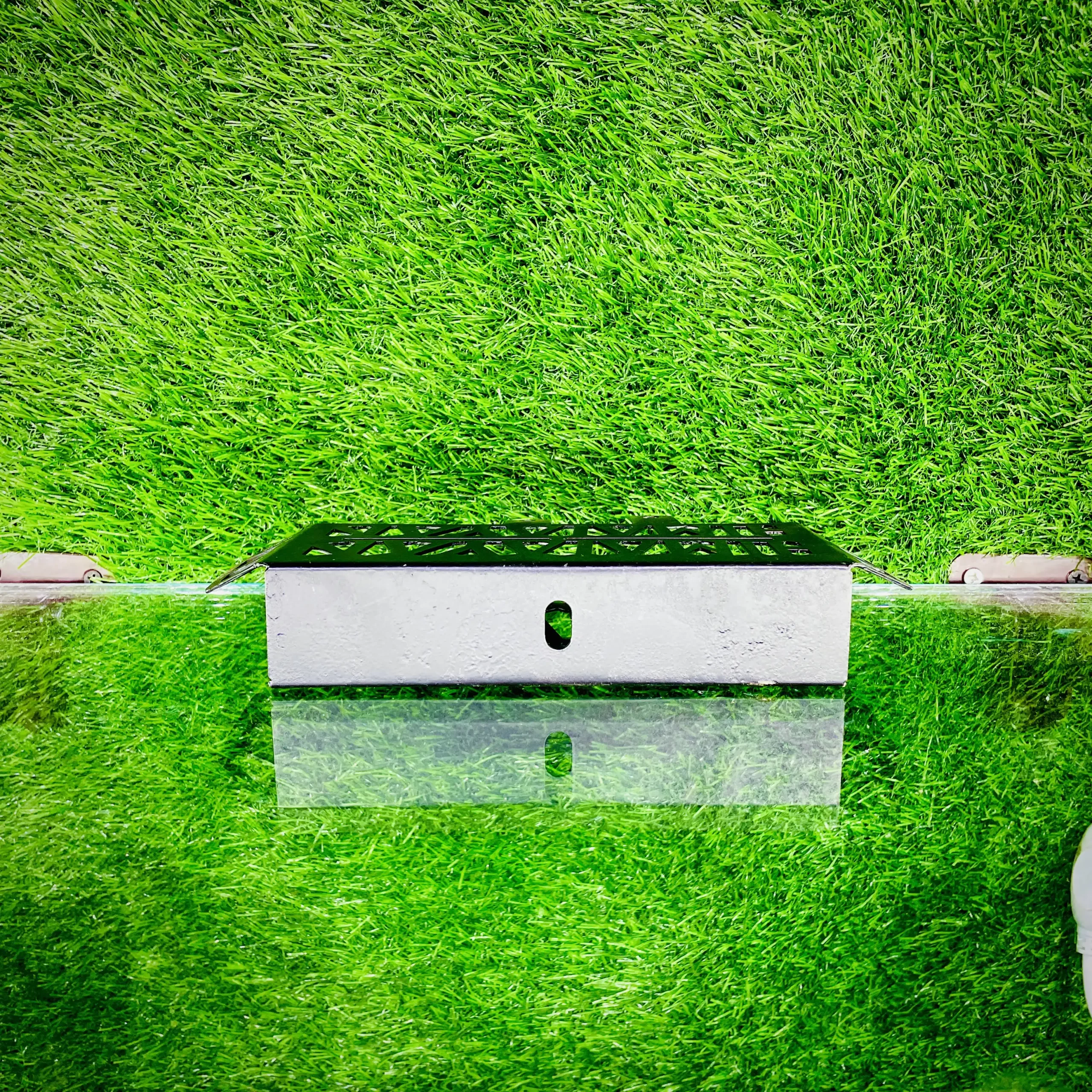 20240801_060314702_iOS