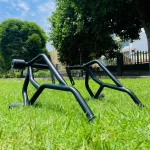 TVS Ronin crash guard with sliders